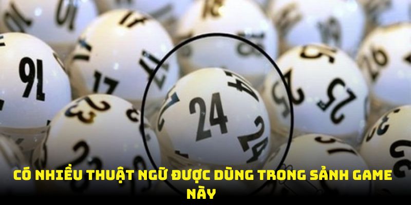 Có nhiều thuật ngữ được dùng trong sảnh game này 