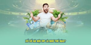 Hà Nội VIP - Cược Liền Tay, Săn Tiền Thưởng Tới 1 Ăn 99